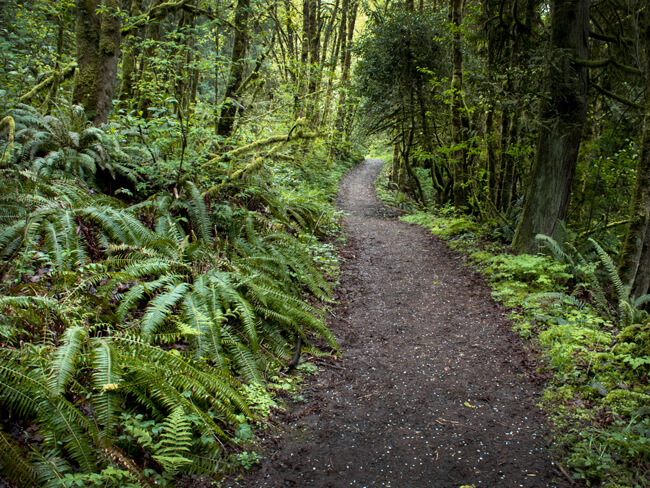 Findley Heights Attractions - Forest Park, OR