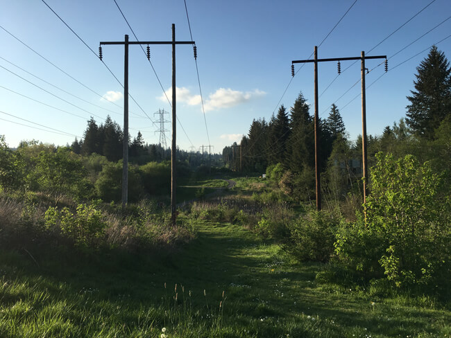 Findley Heights Attractions - Tualatin Hills Parks, OR