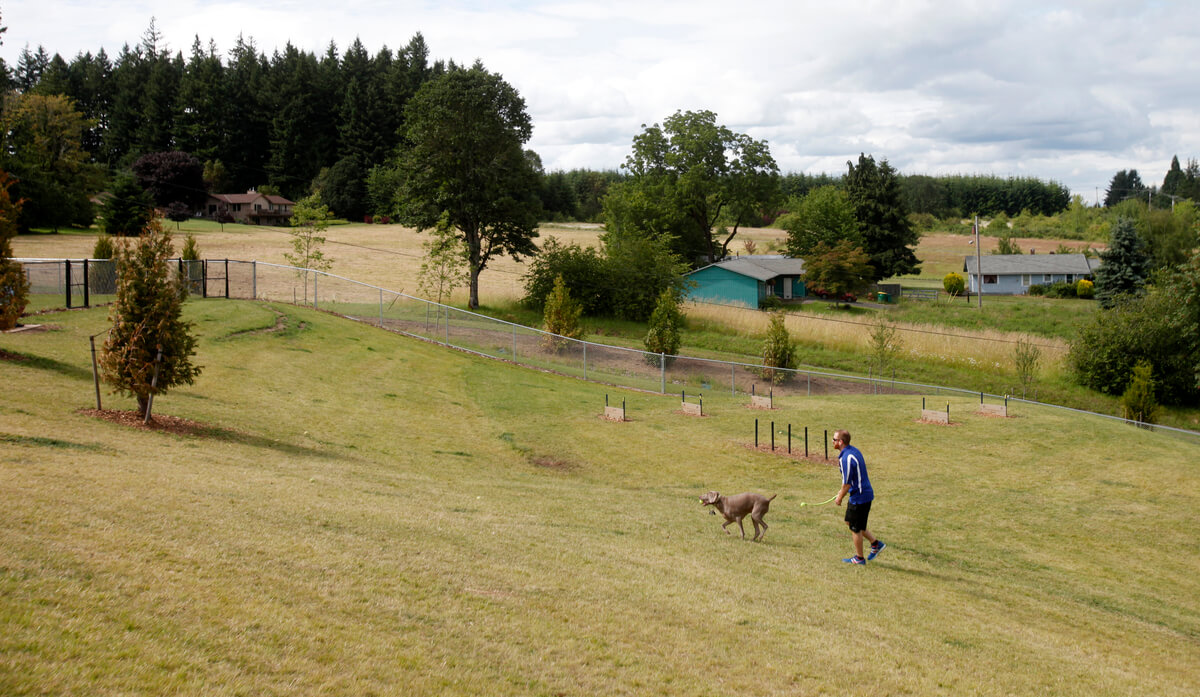 nature trail, mountainside heights, westhills homes nw